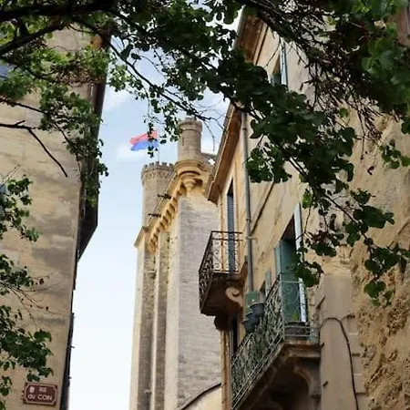Centre Quartiers Des Arts Charme De L'ancien Апартаменты *